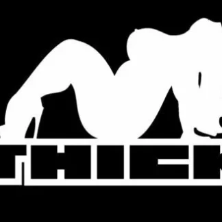 2x Thick Sexy Big Fat Chick Vinyl Decal Car Truck Window Sticker Mudflap Woman