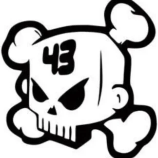 (2) ken block decal/Sticker  car truck van laptop free shipping skull bones