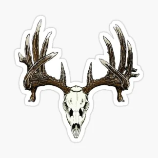 3x Pack whitetail deer skull sticker water proof uv scratch resistant hunting