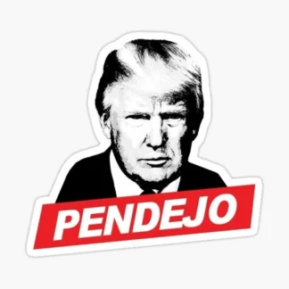 DONALD TRUMP  pendejo united states of America  MAGA USA biden