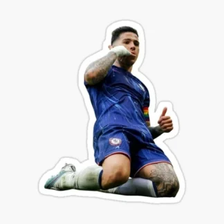 enzo fernandez fifa world cup soccer Sticker Waterproof  uv resistant football