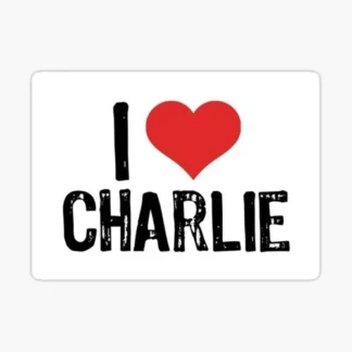 i heart Charlie Kirk united states of America  Trump MAGA USA biden