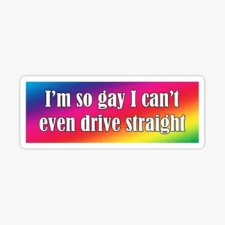 Im so Gay I cant even drive straight Rainbow Cute Fun Love Is Love Sticker